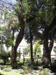 PICT3510.JPG