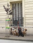 Adios Buenos Aires