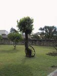 PICT2946.JPG