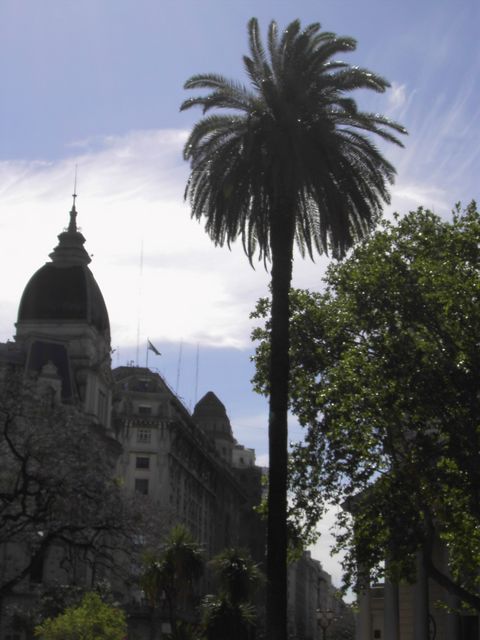PICT3298.JPG