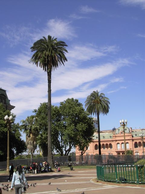 PICT3299.JPG